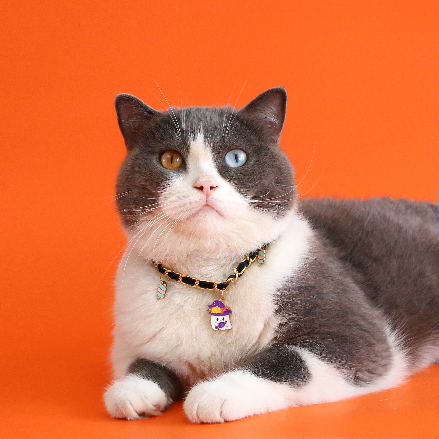 2023 Pet Halloween Collar Velvet Metal Drip Oil Bat Pumpkin Spider Pendant Cat Dog Necklace Accessories