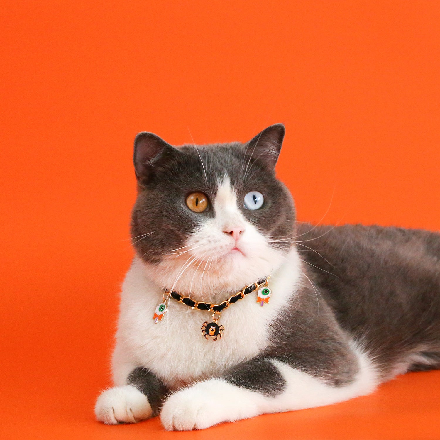 2023 Pet Halloween Collar Velvet Metal Drip Oil Bat Pumpkin Spider Pendant Cat Dog Necklace Accessories