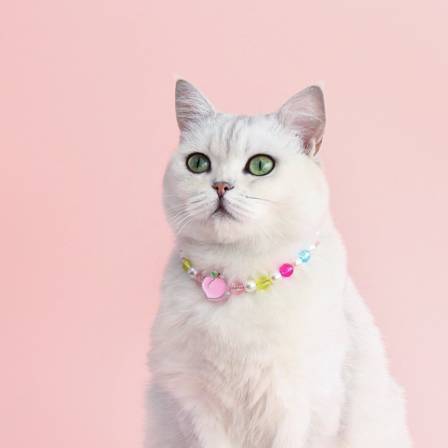 INS Korean colored pearl pet necklace small flower rainbow peach love adjustable German cat dog birthday collar