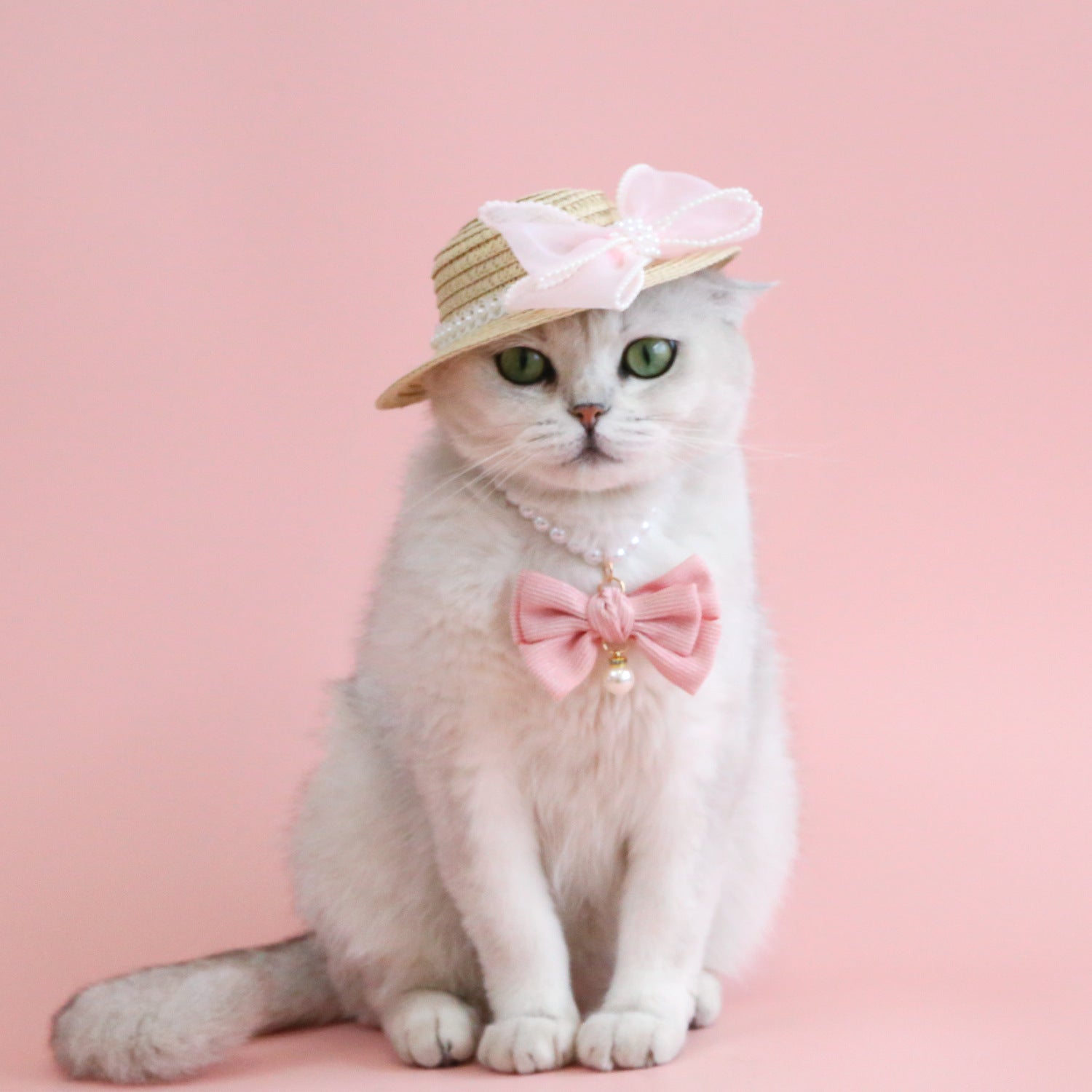 New Pet Pearl Diamond Bow Necklace Princess Wind Velvet Bow Tie Pendant Birthday Cat Puppy Collar